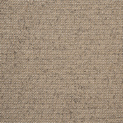 Clarke and Clarke Casanova F0723 F0723/02 CAC Antique in Clarke and Clarke Contract Beige Polyester  Blend Solid Color Chenille   Fabric