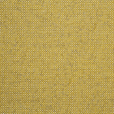 Clarke and Clarke Casanova F0723 F0723/05 CAC Chartreuse in 9017 Polyester  Blend Solid Color Chenille   Fabric