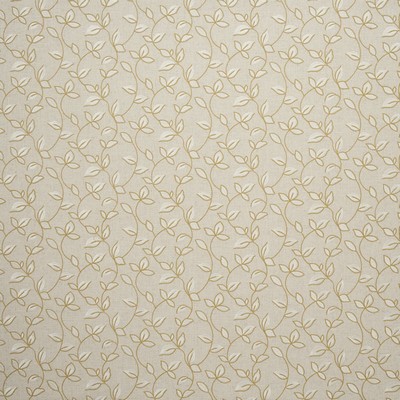 Clarke and Clarke Chartwell Acacia in Manor House Cotton  Blend Scrolling Vines   Fabric