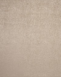 Patina F0751 F0751/11 CAC Taupe by  Clarke and Clarke 