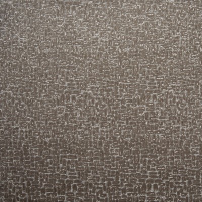 Clarke and Clarke Moda F0752 F0752/12 CAC Taupe in 9018 Brown Upholstery Polyester  Blend Fire Rated Fabric Fire Retardant Print and Textured CA 117  Patterned Velvet   Fabric