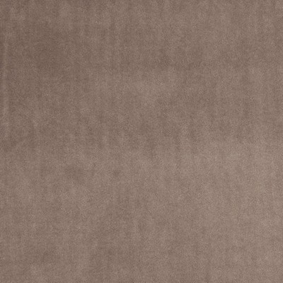 Clarke and Clarke Alvar F0753 F0753/25 CAC Beaver in 9092 Polyester Solid Velvet   Fabric
