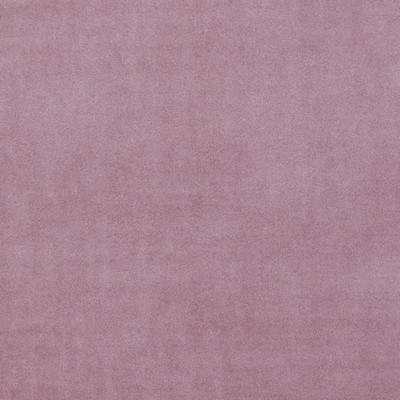 Clarke and Clarke Alvar F0753 F0753/27 CAC Blush in 9092 Pink Polyester Solid Velvet   Fabric