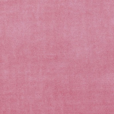 Clarke and Clarke Alvar F0753 F0753/29 CAC Candy in 9092 Pink Polyester Solid Velvet   Fabric