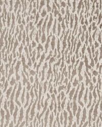 Gautier F0805 F0805/08 CAC Taupe by  Clarke and Clarke 