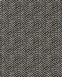 Bw1015 F0888 F0888/01 CAC Black/white by  Schumacher Fabric 