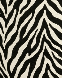 Bw1029 F0902 F0902/01 CAC Black/white by  Schumacher Fabric 