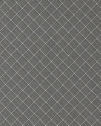 Bw1031 F0904 F0904/01 CAC Black/white by  Schumacher Fabric 