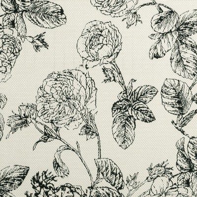 Clarke and Clarke Bw1035 F0908 F0908/01 CAC Black/white in Black and White White 15%Polyester  Blend Black and White Flower   Fabric