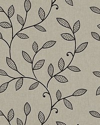 Hetton F0937 F0937/03 CAC Charcoal by  Clarke and Clarke 