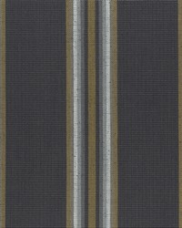 Clarke and Clarke F0955 1 CHARCOAL/CINN Fabric