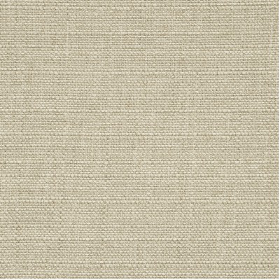 Clarke and Clarke F0964 15 FLAX in 9156 Multipurpose POLYESTER Fire Rated Fabric Heavy Duty CA 117   Fabric
