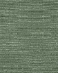 Clarke and Clarke F0964 16 FOREST Fabric