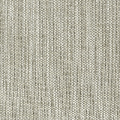 Clarke and Clarke F0965 37 PUTTY in 9131 Beige Upholstery VISCOSE  Blend Fire Rated Fabric