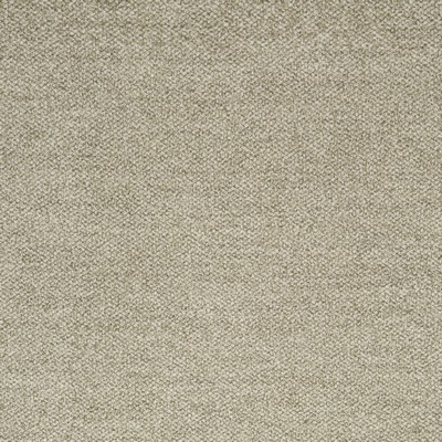 Clarke and Clarke F0986 1 ANTIQUE in 9158 Multipurpose POLYESTER  Blend Solid Color Chenille   Fabric