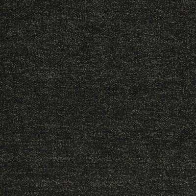 Clarke and Clarke F0986 2 CHARCOAL in 9158 Grey Multipurpose POLYESTER  Blend Solid Color Chenille   Fabric