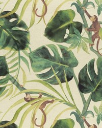 F0998 3 NATURAL by  Roth and Tompkins Textiles 