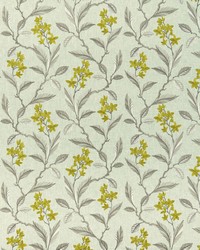 MELROSE F1008/01 CAC CHARTREUSE by   