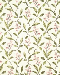 MELROSE F1008/05 CAC PINK/APPLE by   