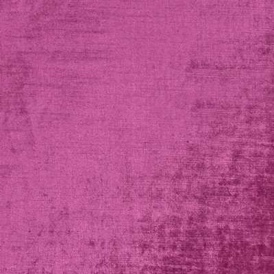 Clarke and Clarke F1069 22 MAGENTA in 9152 Purple Upholstery POLYESTER Solid Velvet   Fabric