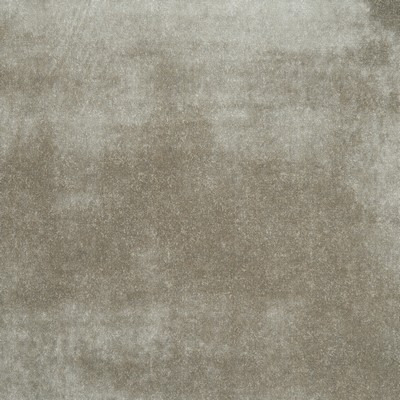 Clarke and Clarke F1085 8 TAUPE in 9187 Brown Upholstery VISCOSE  Blend Heavy Duty Printed Velvet   Fabric