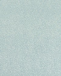 F1091 2 MINERAL/SILVE by   