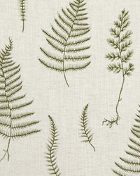 Clarke and Clarke F1092 3 NATURAL/FORES Fabric