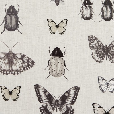 Clarke and Clarke F1093 2 CHARCOAL/LINE in 9154 Grey VISCOSE  Blend Bug and Insect   Fabric