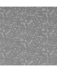 HOLLINS F1238/02 CAC CHARCOAL by   