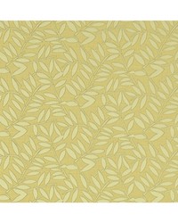 HOLLINS F1238/03 CAC CITRUS by   