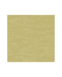 AMALFI F1239/10 CAC CHARTREUSE by   