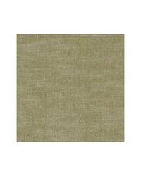AMALFI F1239/41 CAC MOSS by   