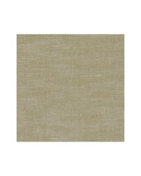 AMALFI F1239/44 CAC OATMEAL by   
