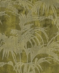 Clarke and Clarke TROPICALE F1305/02 CAC CITRON Fabric