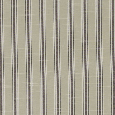 Clarke and Clarke THORNWICK F1311/02 CAC CHARCOAL in CLARKE & CLARKE BEMPTON Grey Multipurpose -  Blend Striped   Fabric