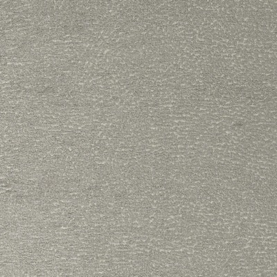 Clarke and Clarke MASON F1322/01 CAC ASH in CLARKE & CLARKE AVALON Grey Multipurpose -  Blend Patterned Chenille   Fabric