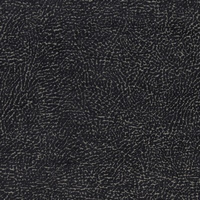 Clarke and Clarke MASON F1322/04 CAC MIDNIGHT in CLARKE & CLARKE AVALON Black Multipurpose Patterned Chenille   Fabric