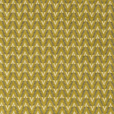Clarke and Clarke ZION F1324/02 CAC CHARTREUSE in CLARKE & CLARKE AVALON Multipurpose Patterned Chenille   Fabric