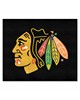 Fan Mats LLC Chicago Blackhawks Tailgater Mat Black