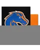 Fan Mats LLC Boise State Broncos Team Carpet Tiles Black