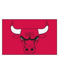 NBA Chicago Bulls Starter Rug 19 x 30 by   