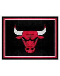Chicago Bulls 8ft. x 10 ft. Plush Area Rug Red by   