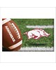 Fan Mats LLC Arkansas Razorbacks Scraper Mat Photo