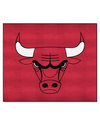 Chicago Bulls Tailgater Rug  5ft. x 6ft. Red by   