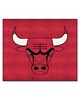 Fan Mats  LLC Chicago Bulls Tailgater Mat Red