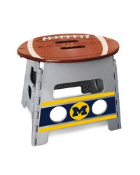 Michigan Wolverines Folding Step Stool  13in. Rise Gray by   