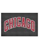 Fan Mats LLC Chicago Bulls Ulti-Mat Black