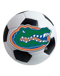 Florida Soccer Ball  by   
