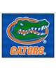 Fan Mats LLC Florida Gators Tailgater Mat Blue