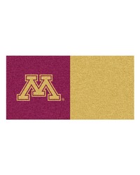 Minnesota Carpet Tiles 18x18 tiles by   